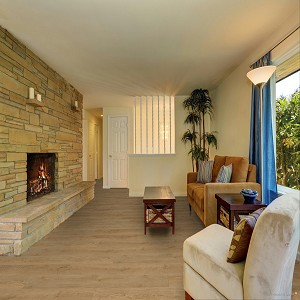 Concorde Oak
